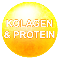 PROTEIN DAN KOLAGEN