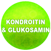 kondroitin & glukosamin